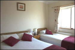 Oak Lodge Bed and Breakfast, Portumna, Galway