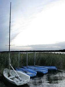 Picture This Portumna Scenic Shots