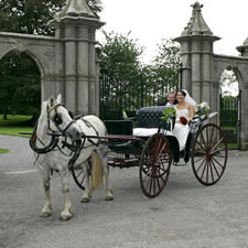 Picture This Portumna Wedding Shots